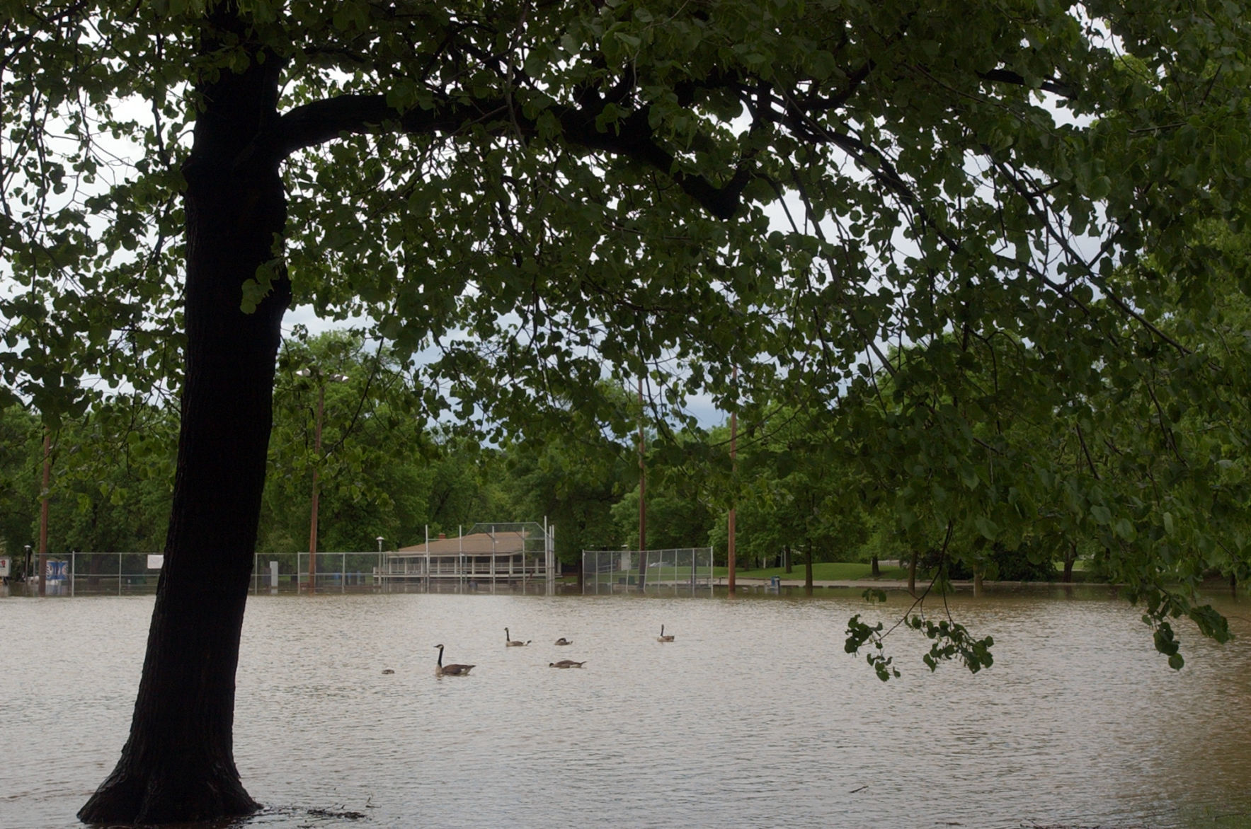 June 2008 flooding